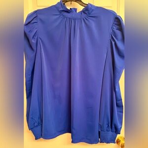 Elegant Blue Blouse